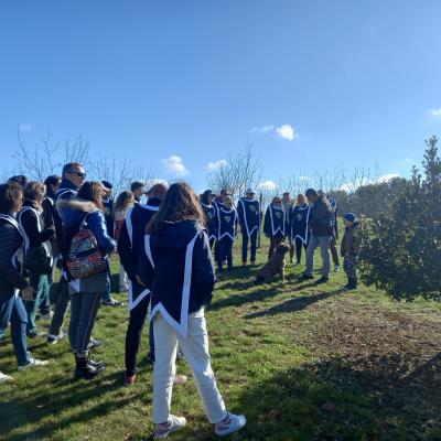 Les Visites
