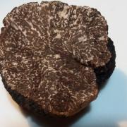 L'intérieur d'une truffe