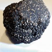 Mélanosporum